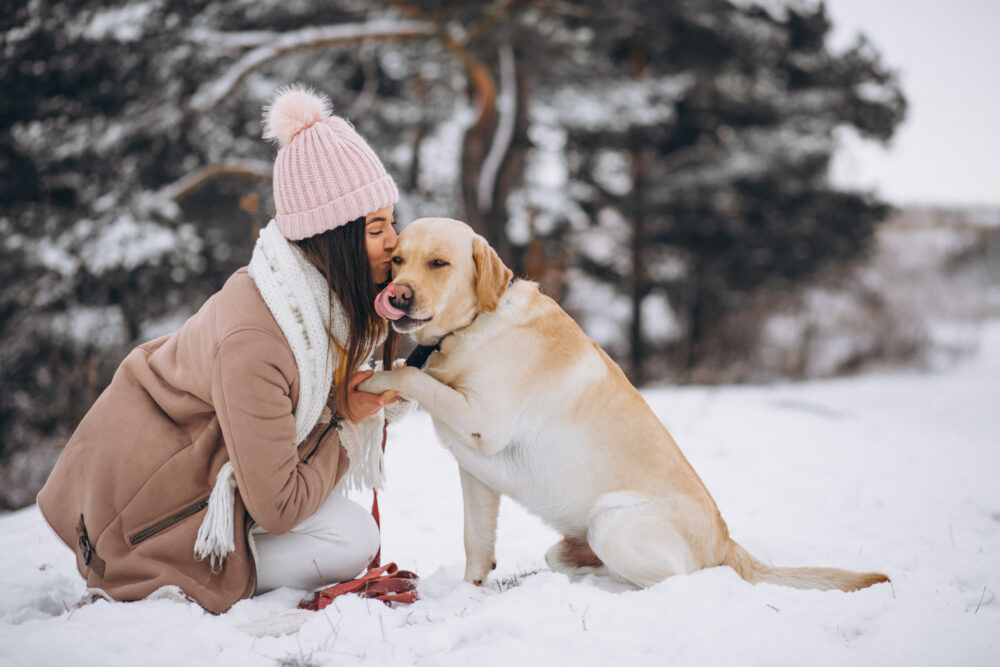 young woman walking with her dog winter park